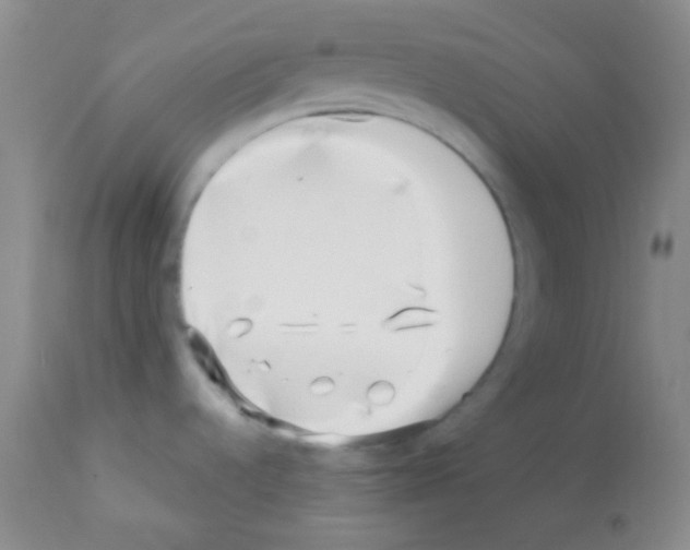X0000113201536200910221028