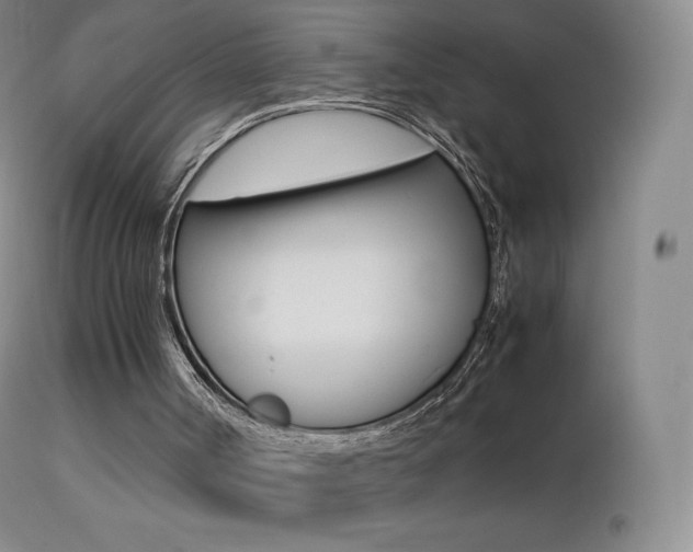 X0000113210002200909100958