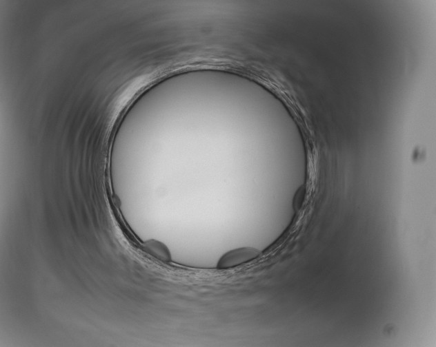 X0000113210003200909100958