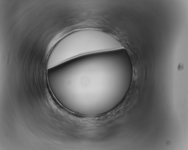 X0000113210004200909100958