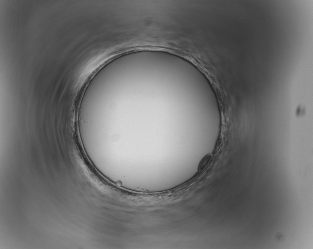X0000113210005200909100958