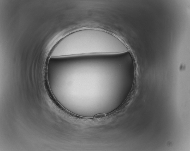 X0000113210007200909100958