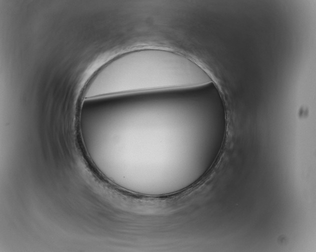 X0000113210008200909100957
