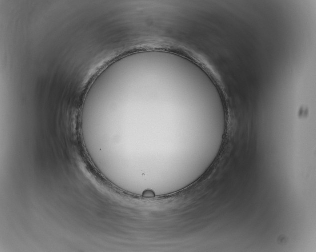 X0000113210010200909100957