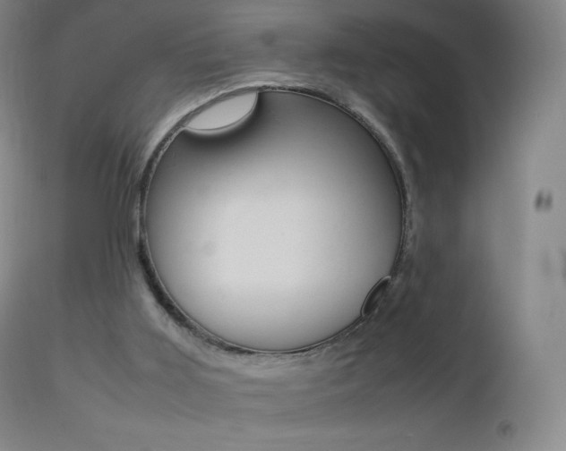X0000113210011200909100957