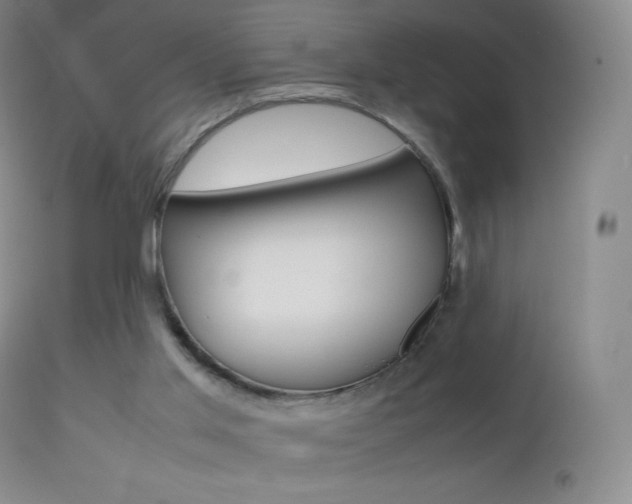 X0000113210013200909100957