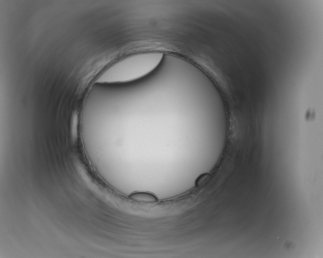 X0000113210014200909100957