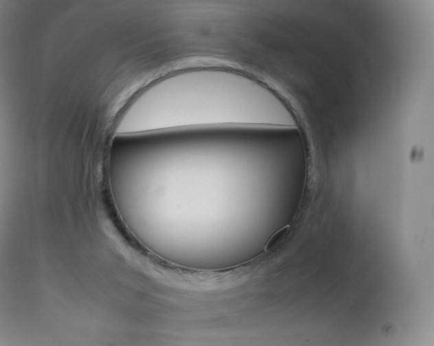 X0000113210015200909100957