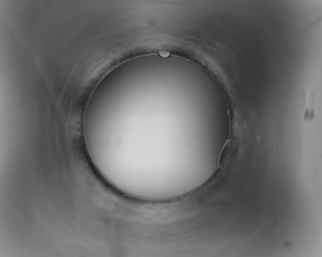 X0000113210017200909100957