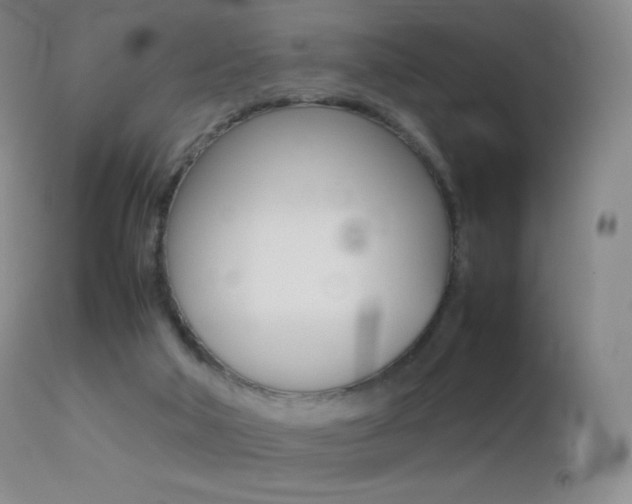X0000113210018200909100957