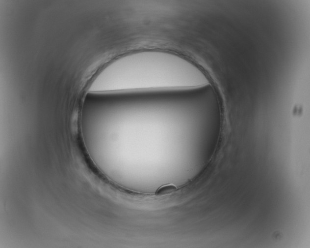 X0000113210019200909100957