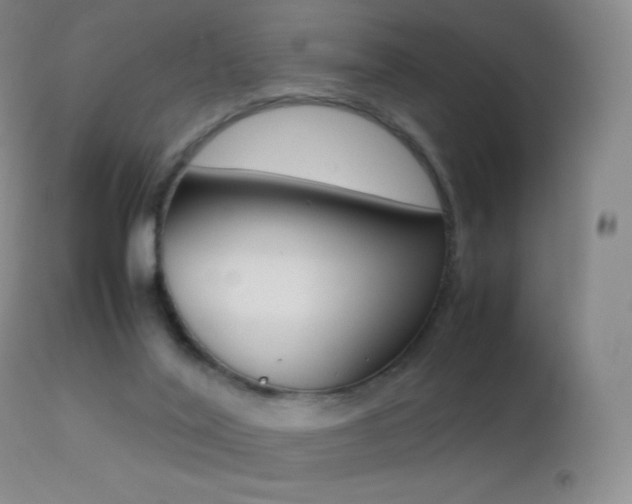 X0000113210020200909100957