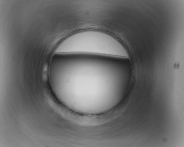 X0000113210024200909100957