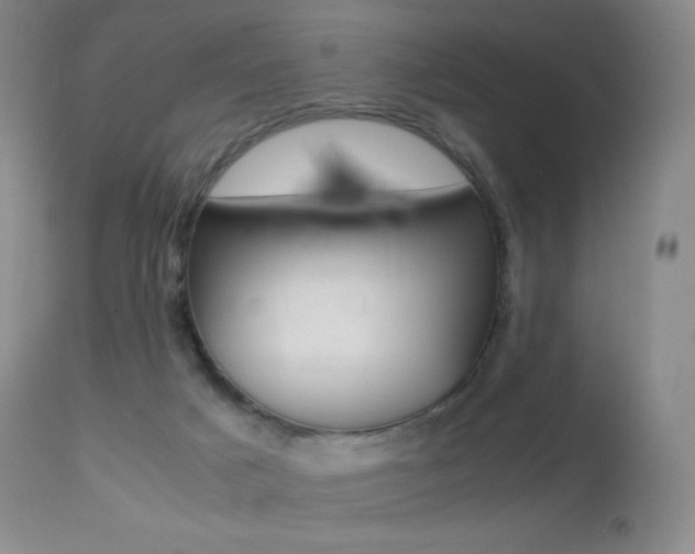 X0000113210025200909100957