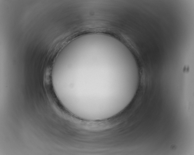X0000113210026200909100957
