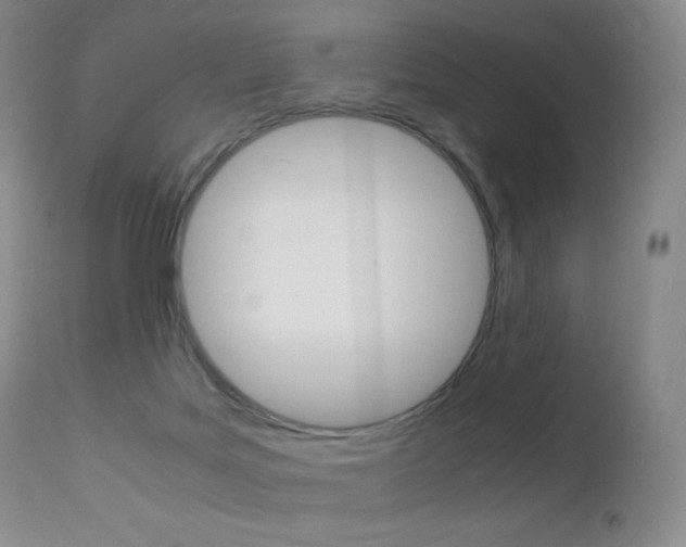 X0000113210027200909100957