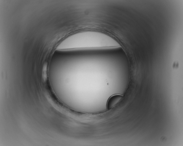 X0000113210028200909100957