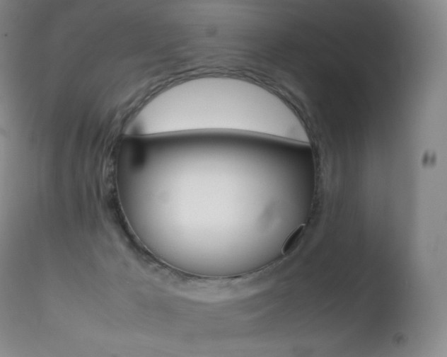 X0000113210029200909100957