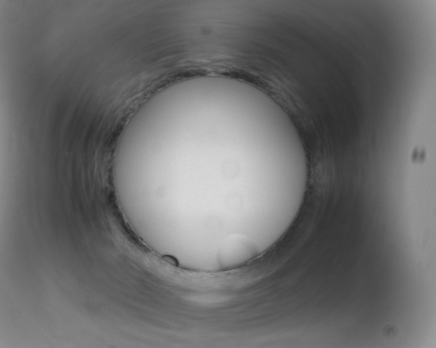 X0000113210030200909100957