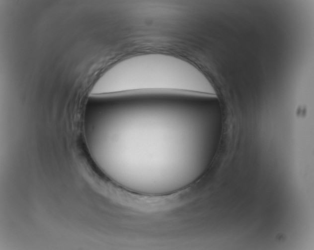 X0000113210031200909100957