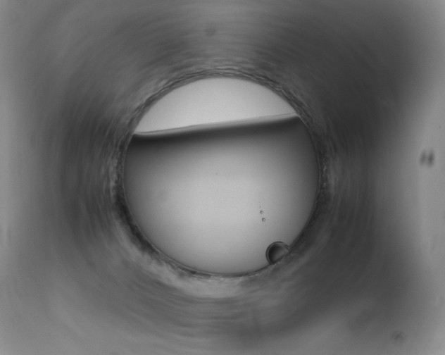 X0000113210032200909100957