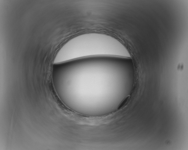X0000113210033200909100957
