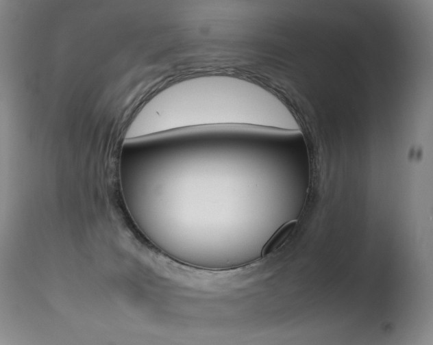 X0000113210035200909100957