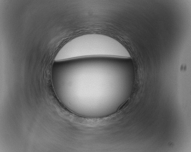 X0000113210037200909100957