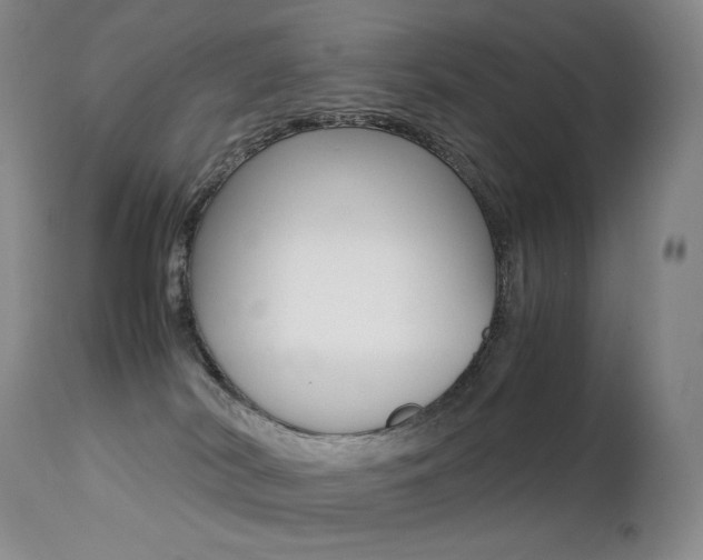 X0000113210038200909100957