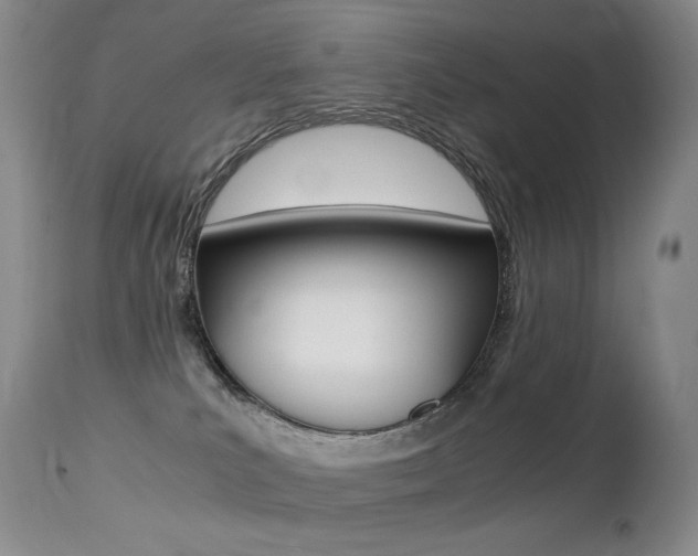 X0000113210039200909100957