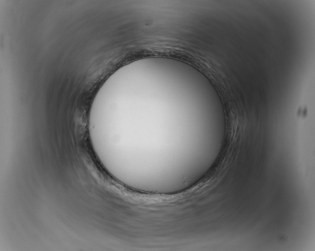 X0000113210040200909100957