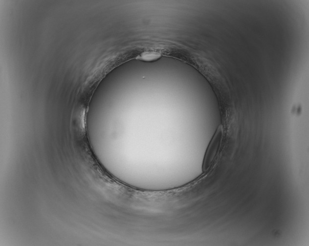 X0000113210041200909100957