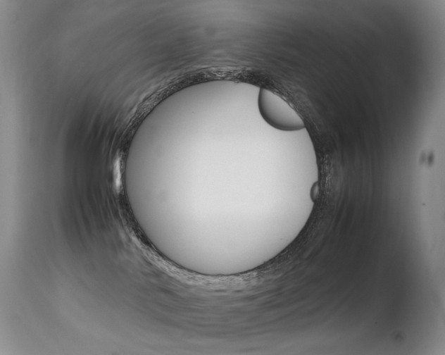X0000113210042200909100957
