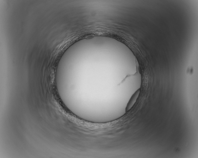 X0000113210043200909100957