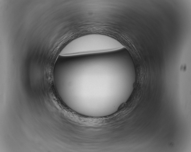 X0000113210044200909100957