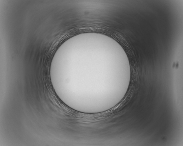 X0000113210045200909100957