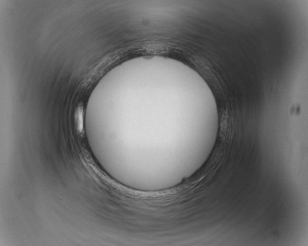 X0000113210046200909100957