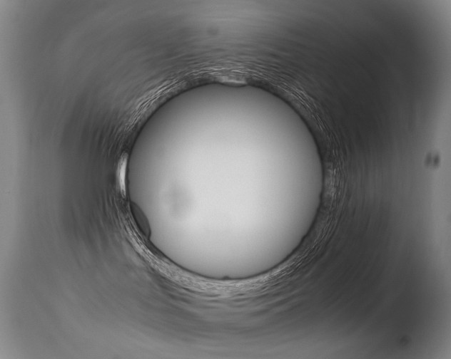 X0000113210047200909100957