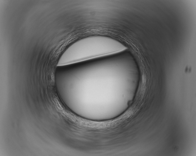 X0000113210048200909100957