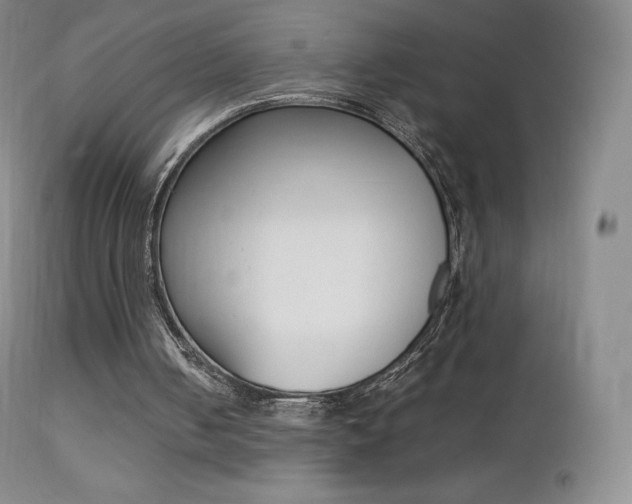 X0000113210050200909100956