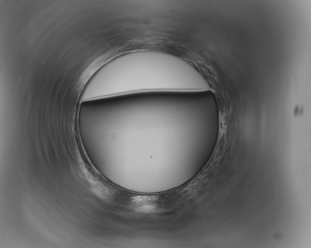 X0000113210051200909100956