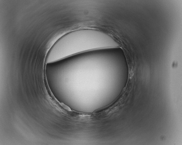 X0000113210052200909100956