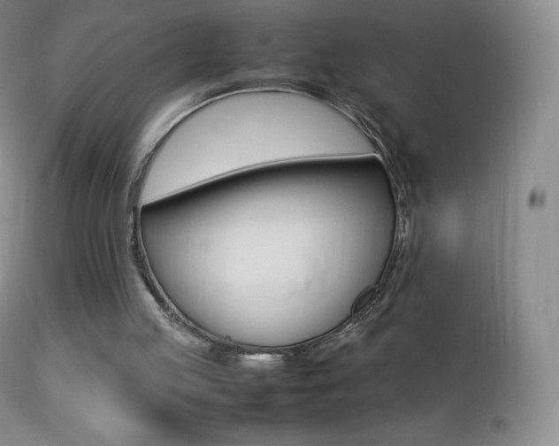 X0000113210053200909100956