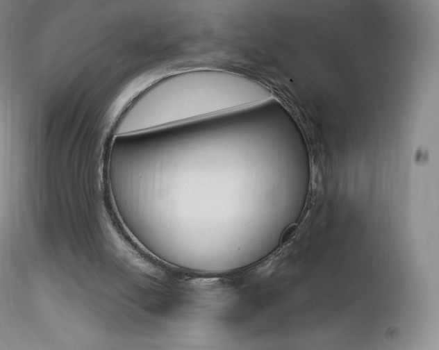 X0000113210054200909100956