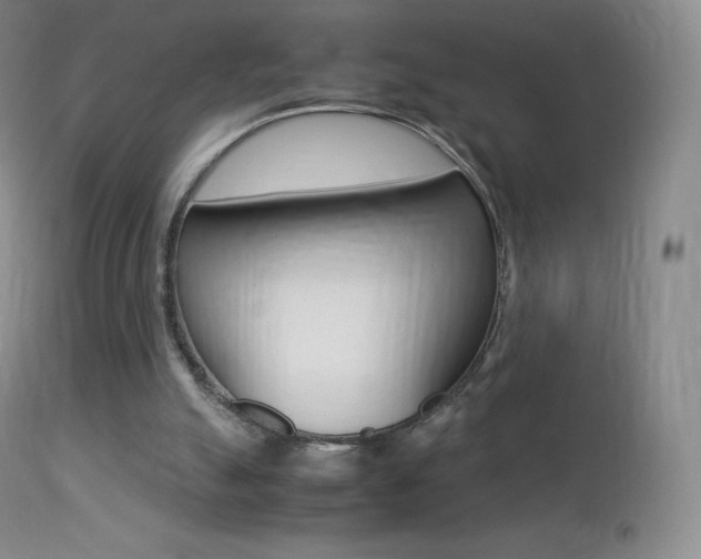 X0000113210055200909100956