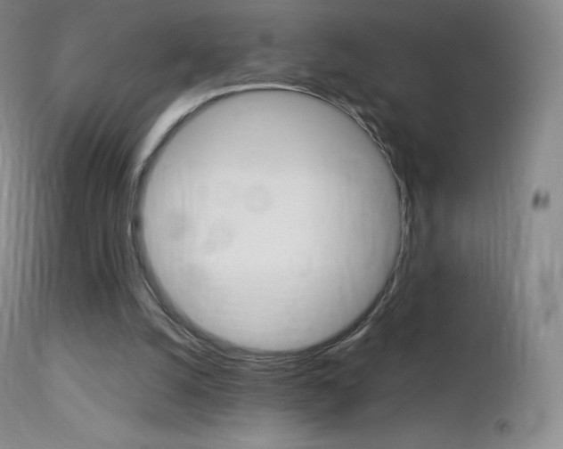 X0000113210056200909100956