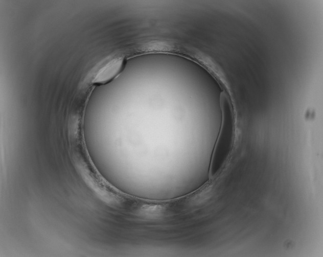 X0000113210057200909100956