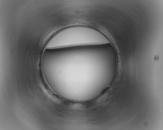 X0000113210058200909100956