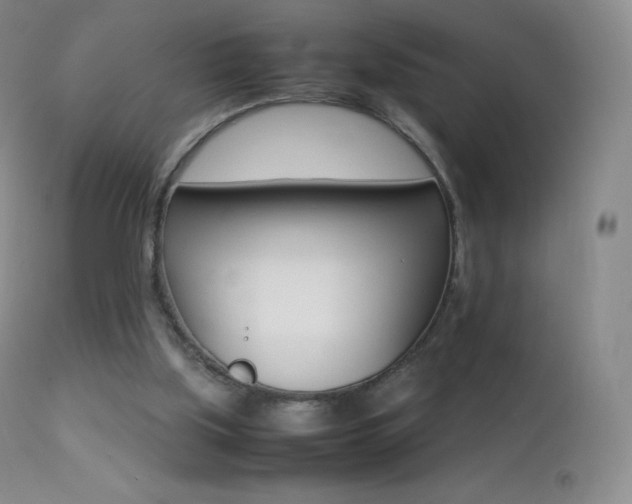 X0000113210059200909100956