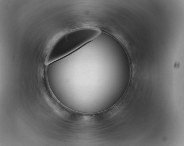 X0000113210060200909100956